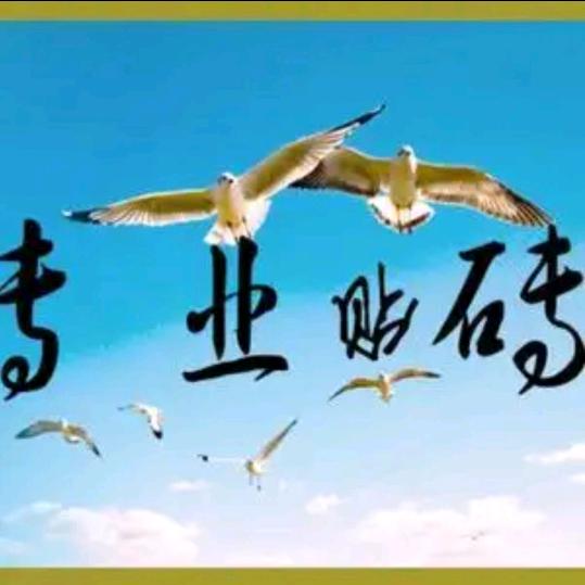 鹿邑贴砖王高生（夫妻）