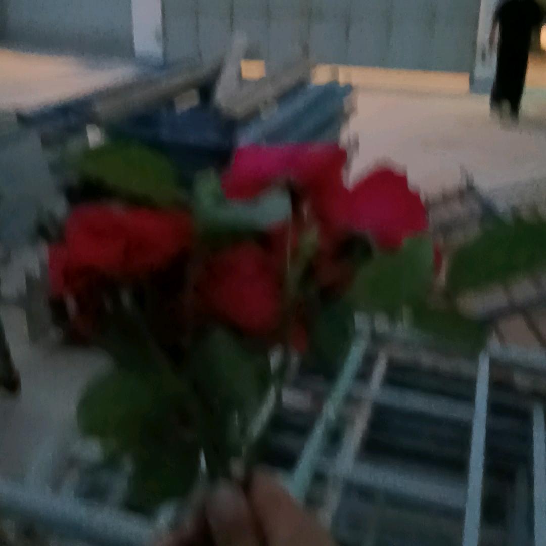 夕阳西下