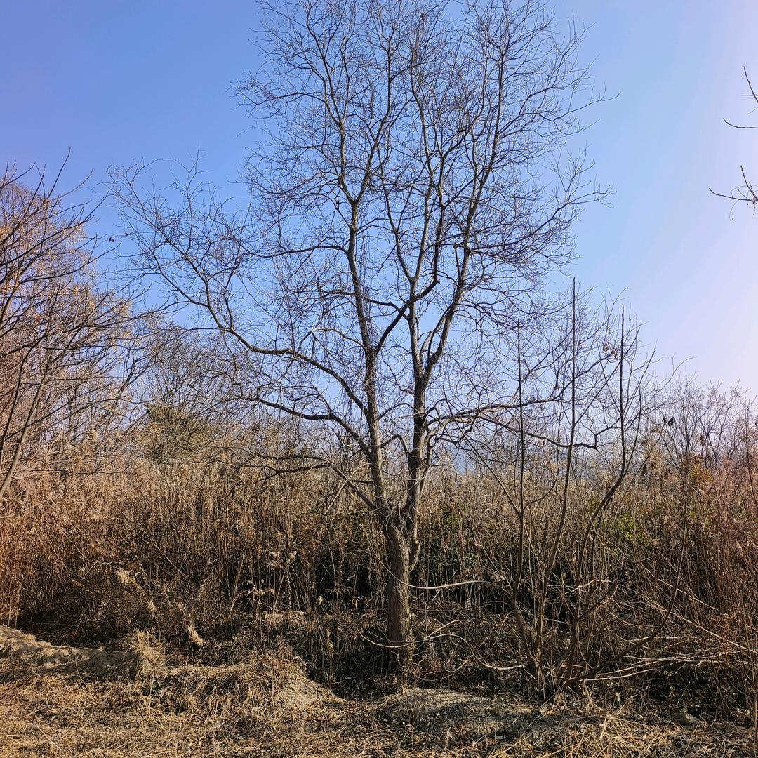 啥也不是