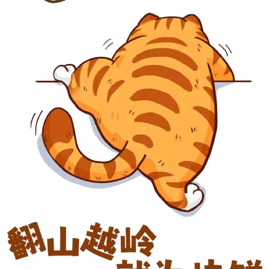 小牧宠物