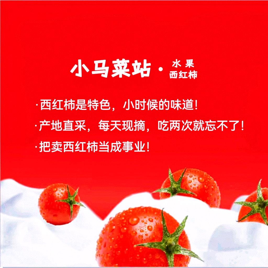 望都·小马菜站