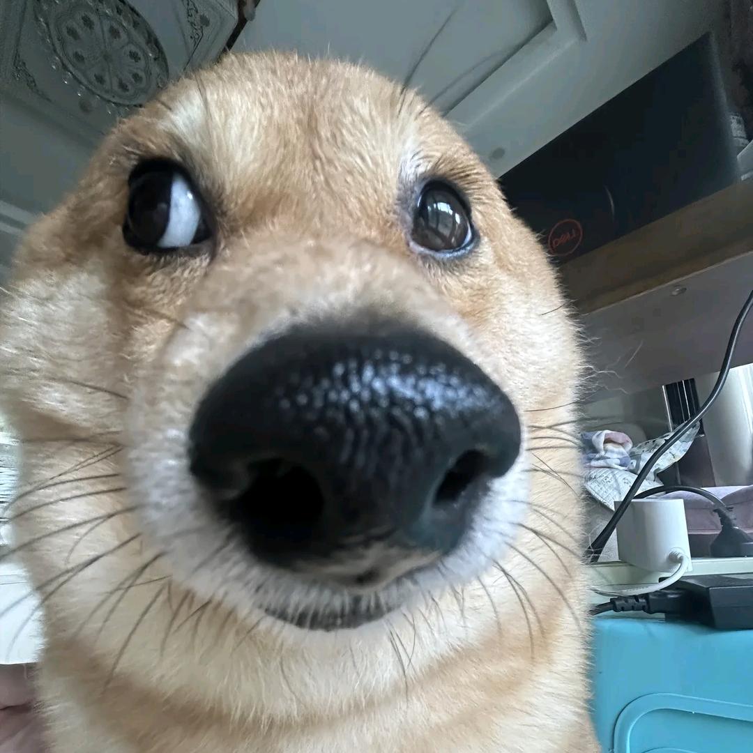 Esther