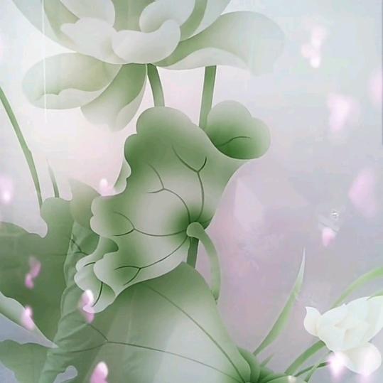 ✨雨过天晴✨