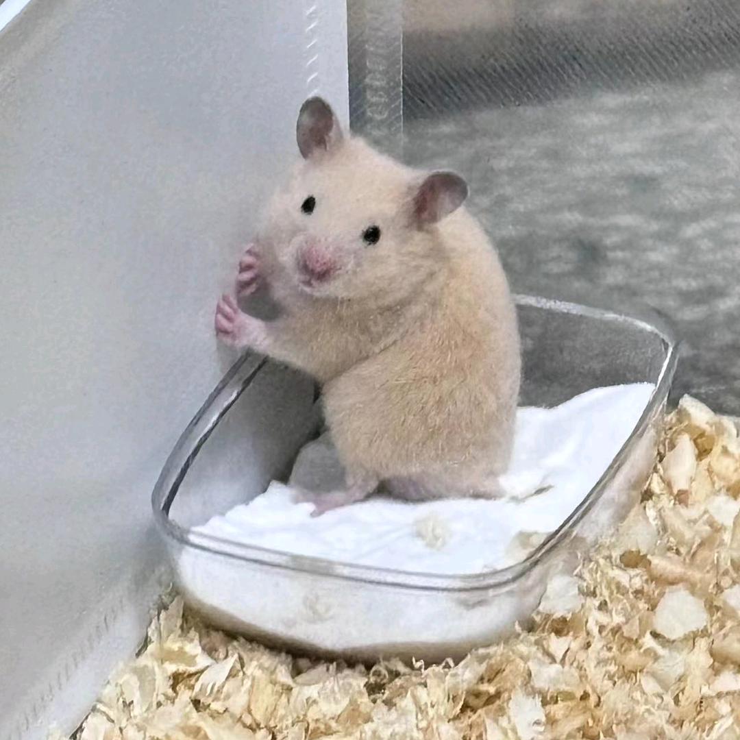 ღ᭄余生💞安好໑💕