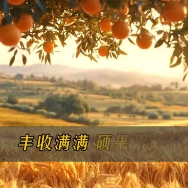 开心零食铺