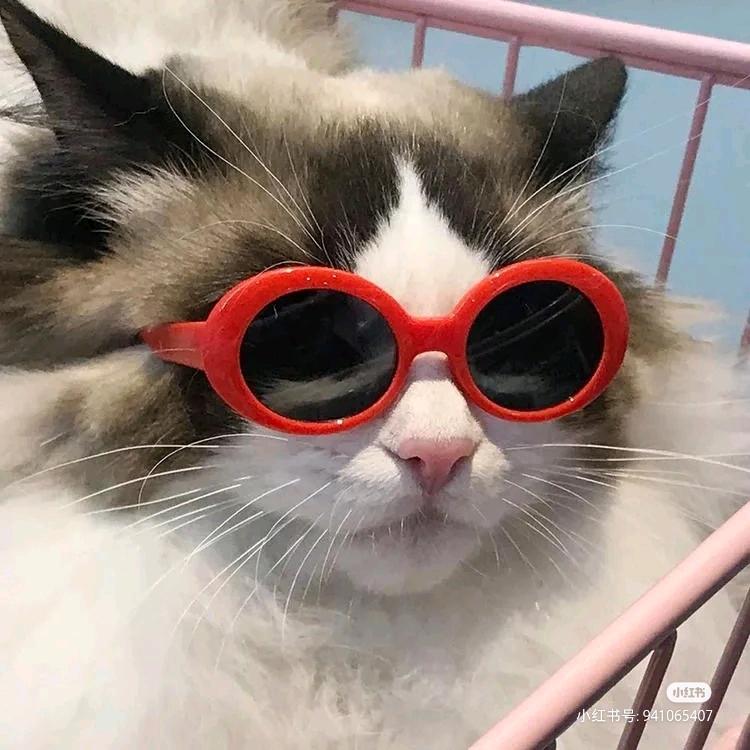 蜂窝煤眼眼多