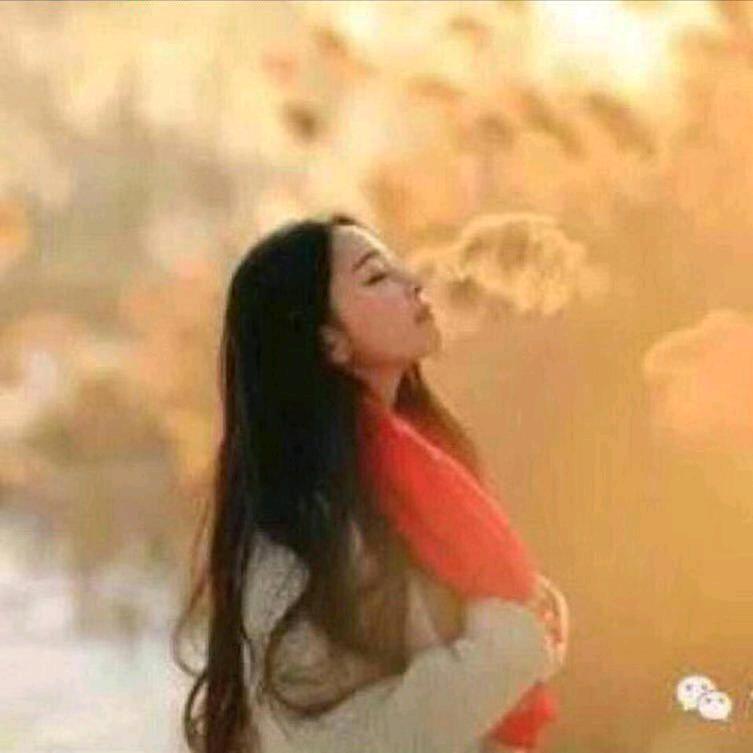 缘🐭+🐄🌹🍎111