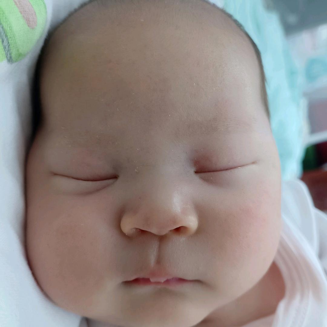 人类幼崽养成记