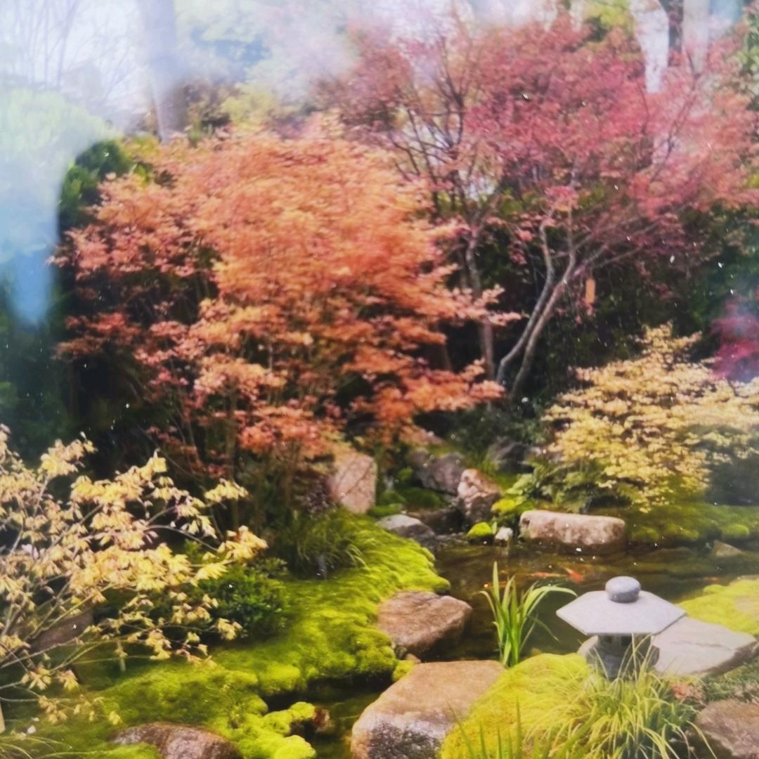 一生平安，幸福满满88888