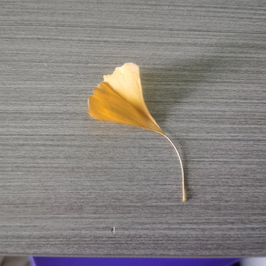 智能化弱电工程