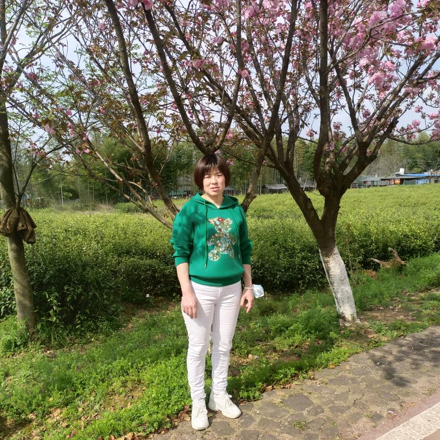 春暖花开