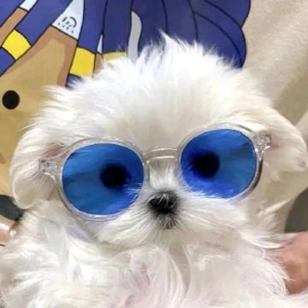 接福