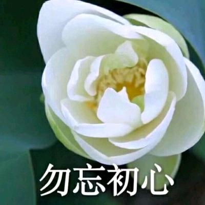 幸福千万家