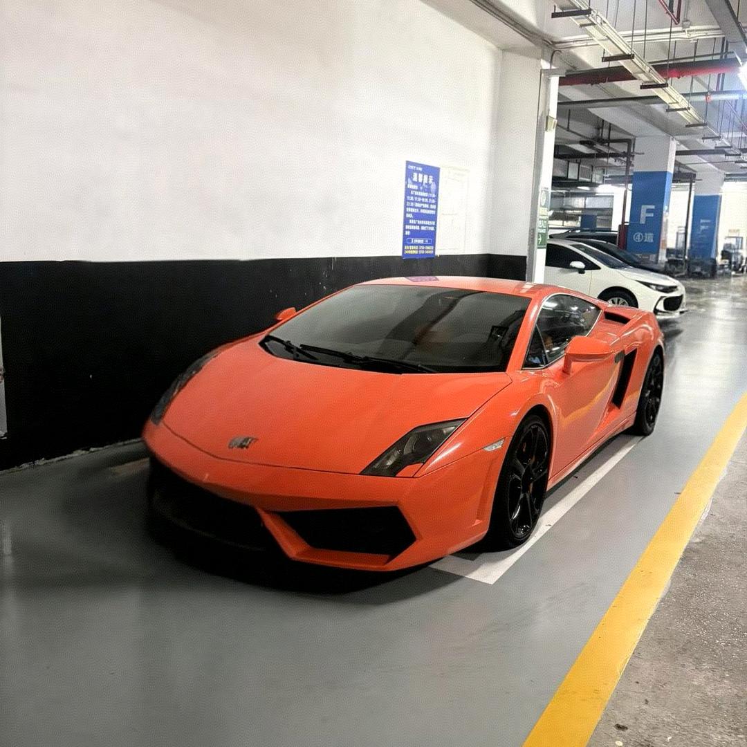 山鼠，蛇，蟹，需要M我