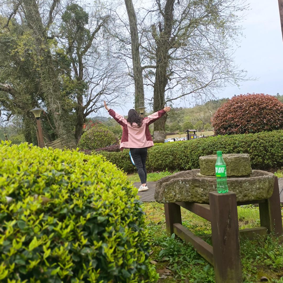 青草悠悠