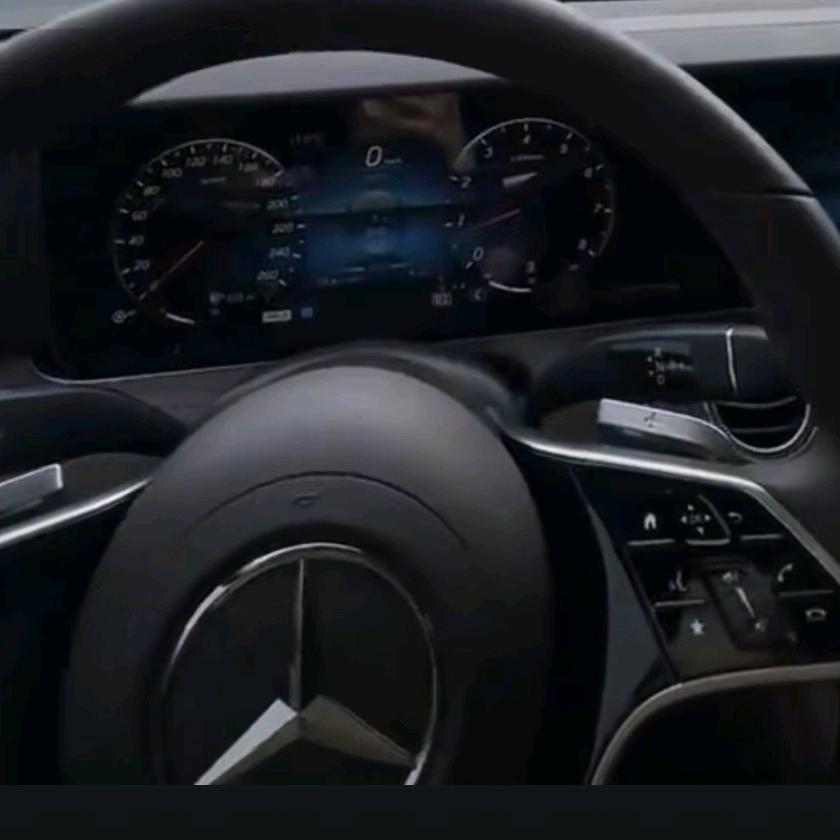 …………………