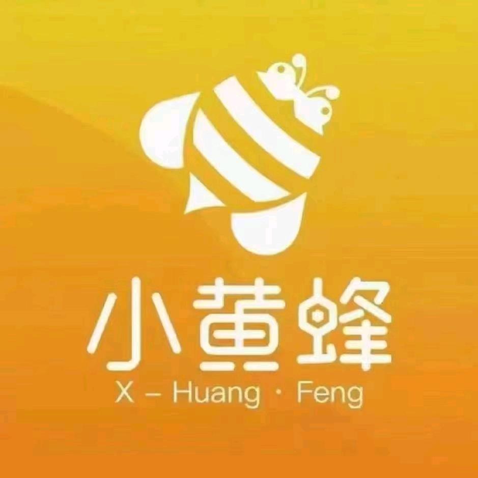 小黄蜂家政服务公司新密（新华路店）