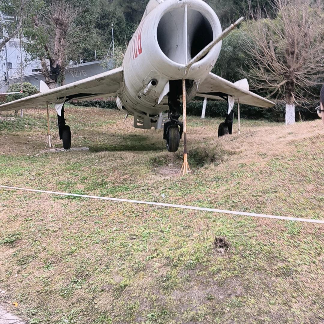 张光福