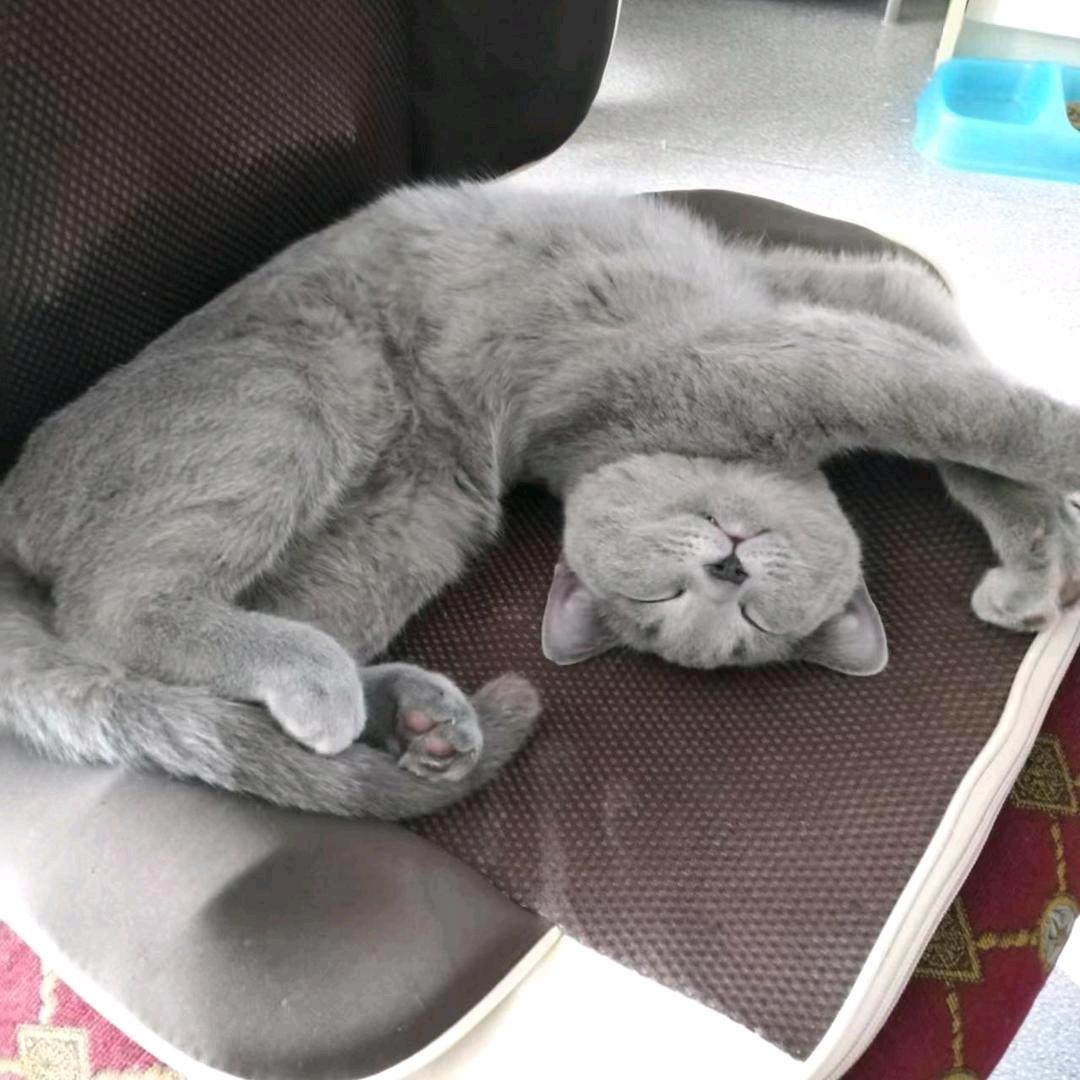 新疆学历提升-高起专/专升本