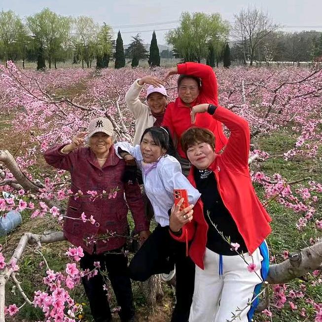 大同超市张金灵