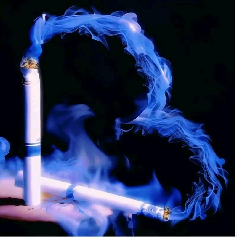 玫瑰最浪漫💔（退网版）