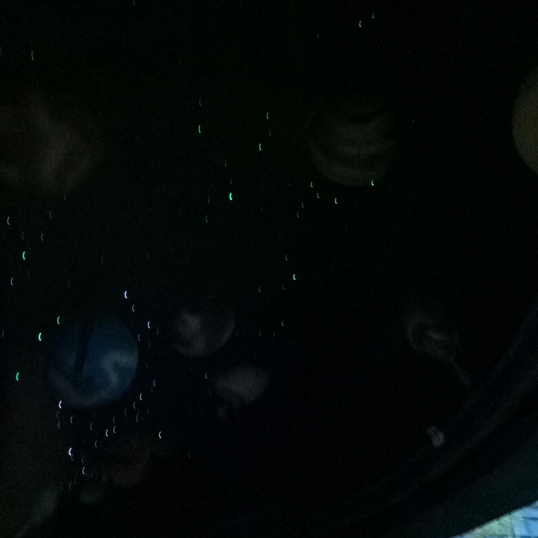 和蔼