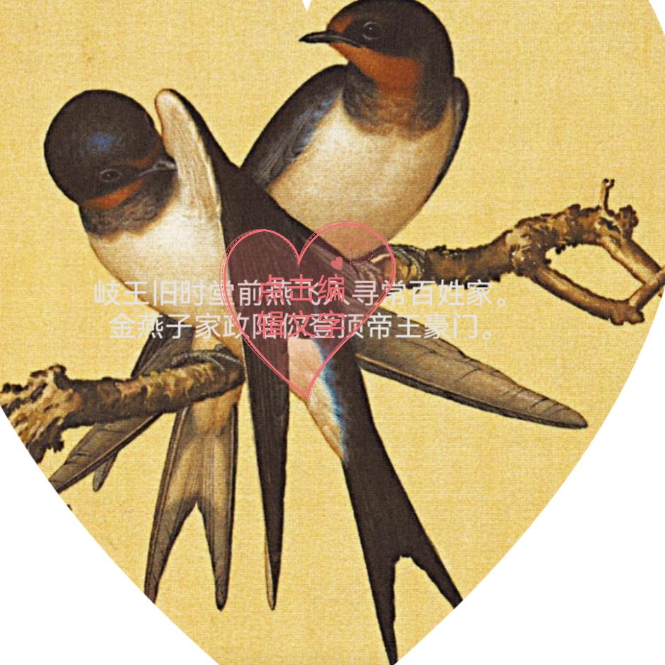 金燕子家电清洗。