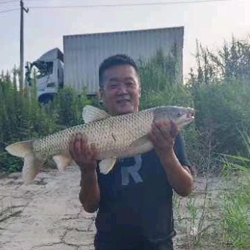 盛哥野钓