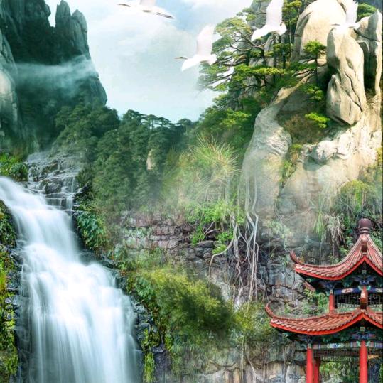 青山飞燕