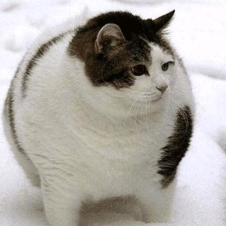 忘川（灯牌战士版）