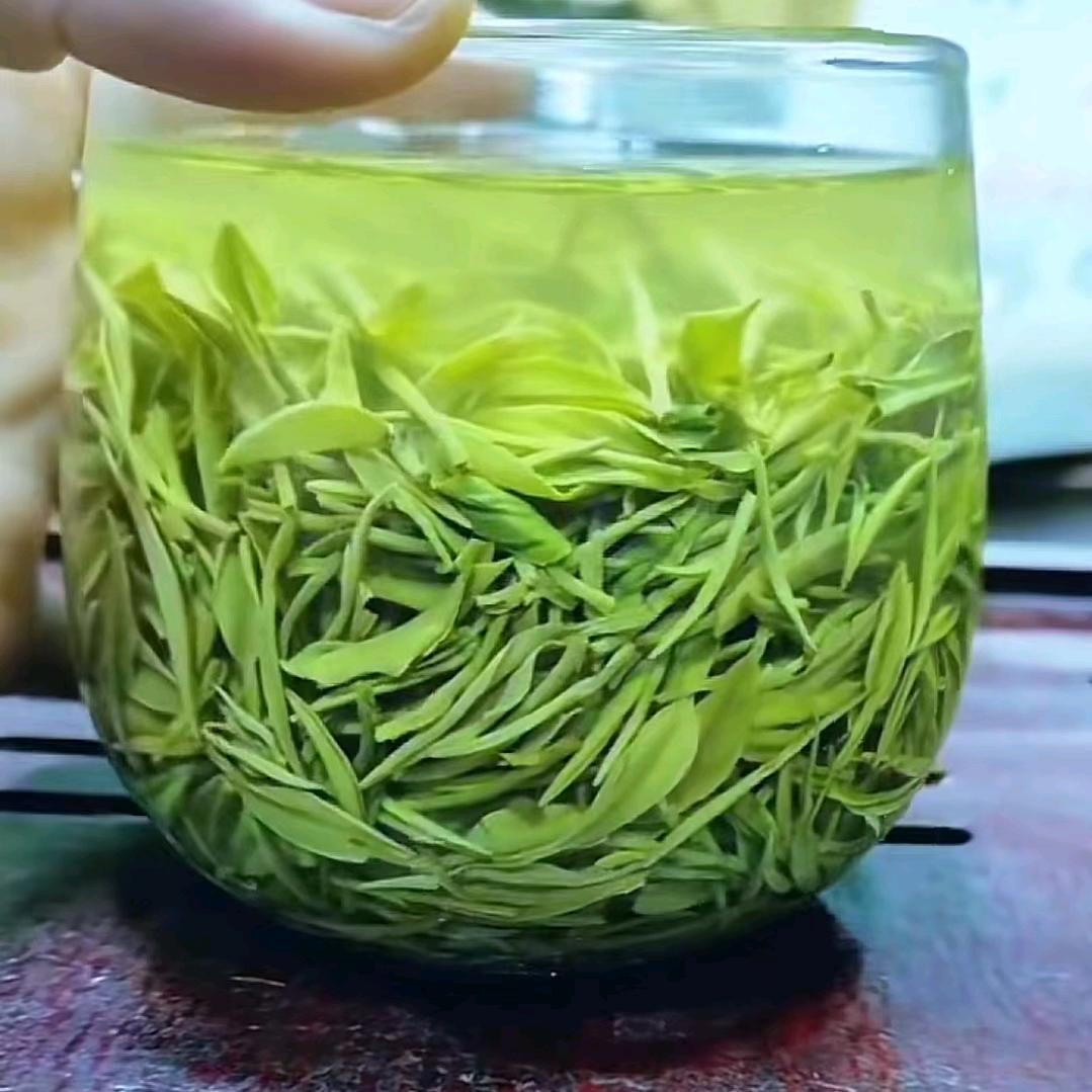 单身哥茶友立架挂网