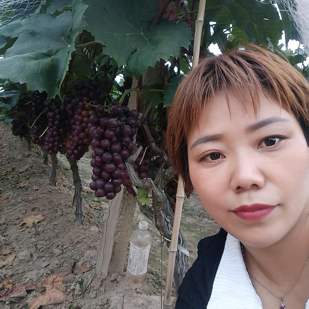 明辉水果批发