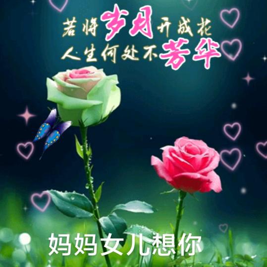 南烛街酒