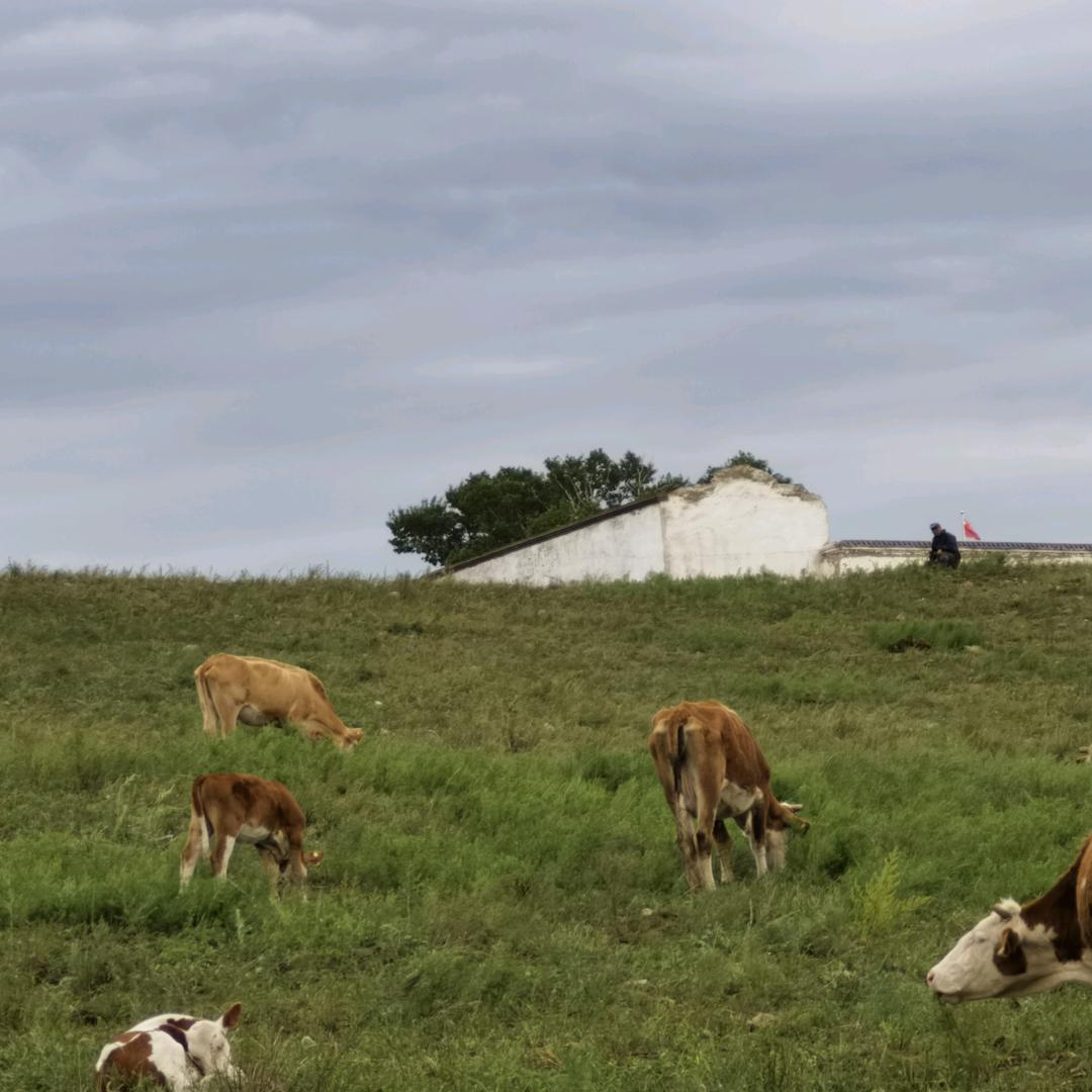 ☀️伏柏霖☀️