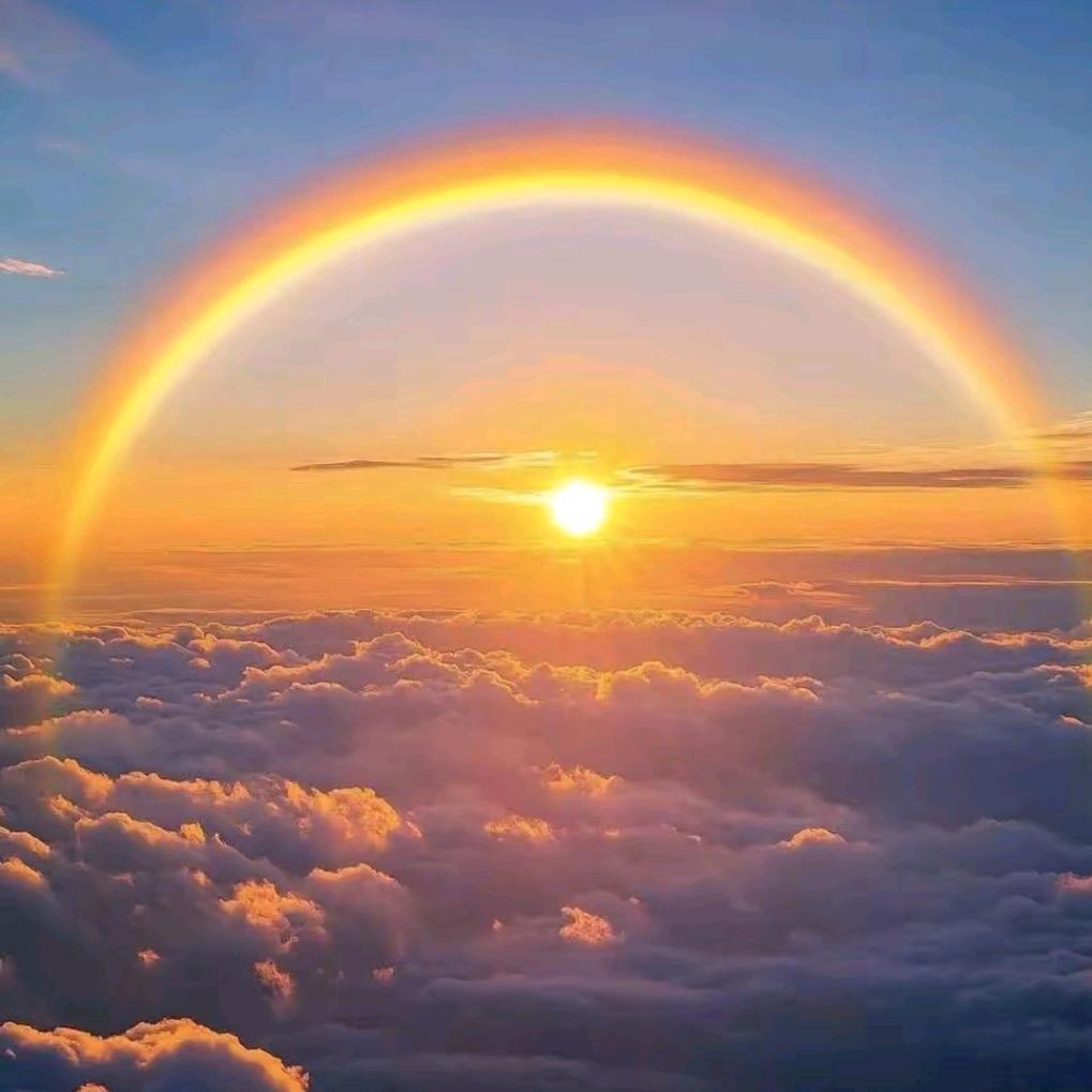 💞࿐ღ浅᭄笑不语᭄💞࿐: