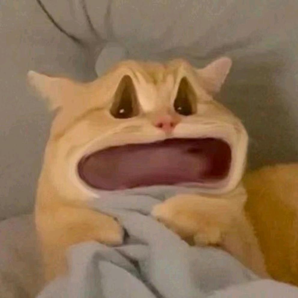 小丹同学