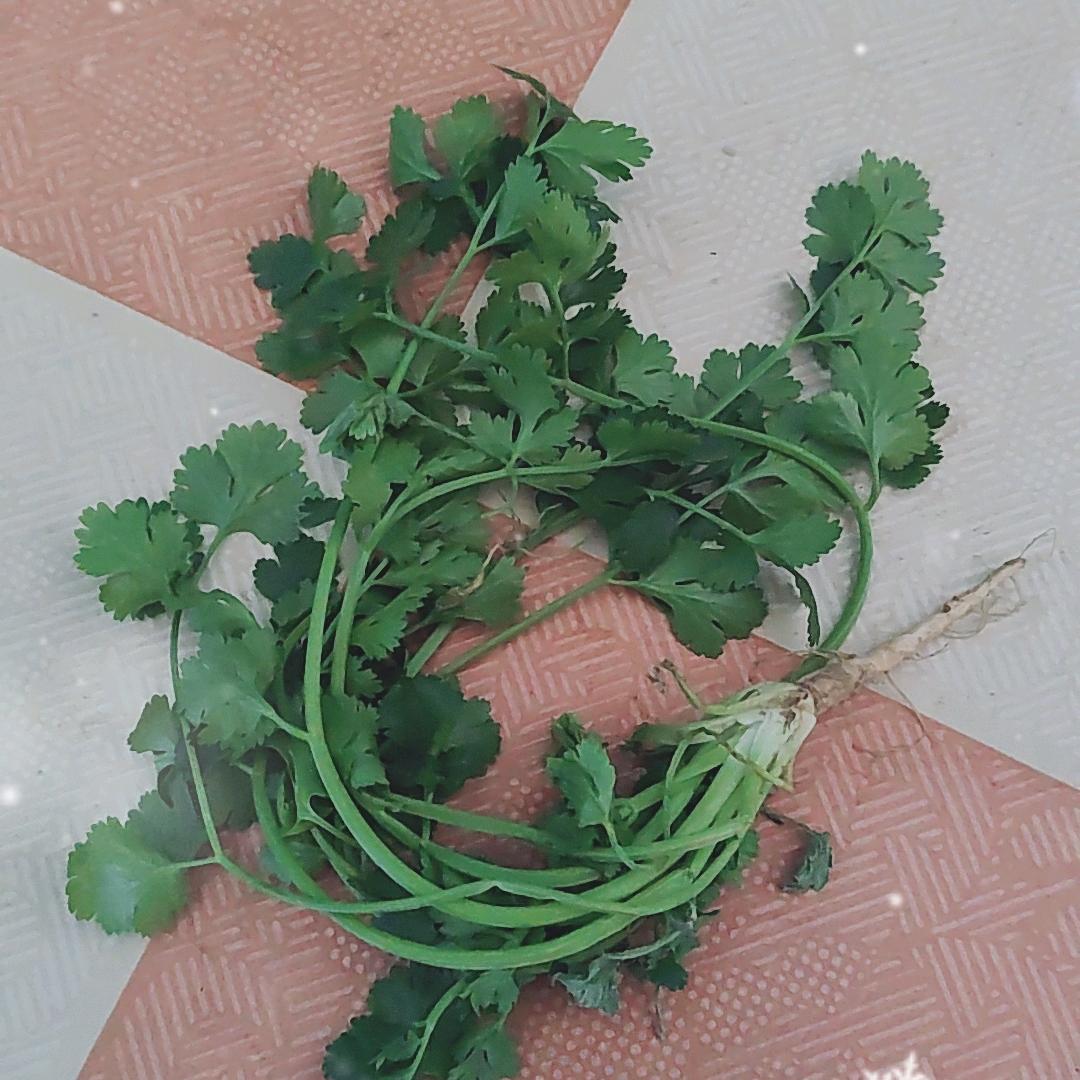 过去就让他过去！