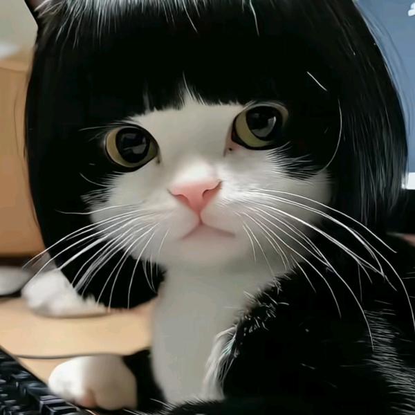 天使之梦