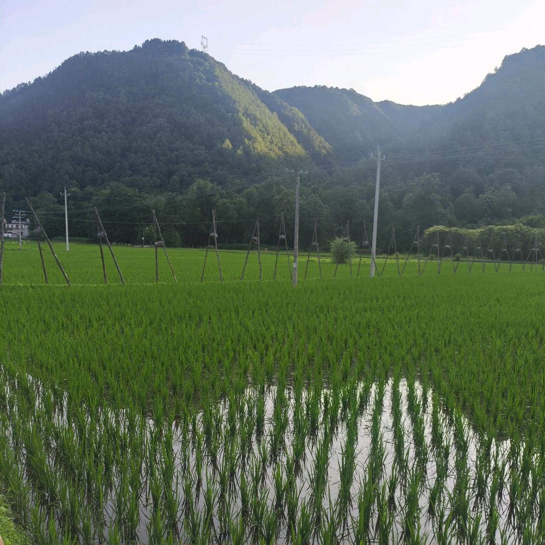 看淡人生，随遇而安。