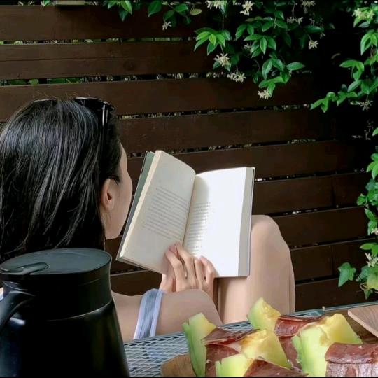 小西读书