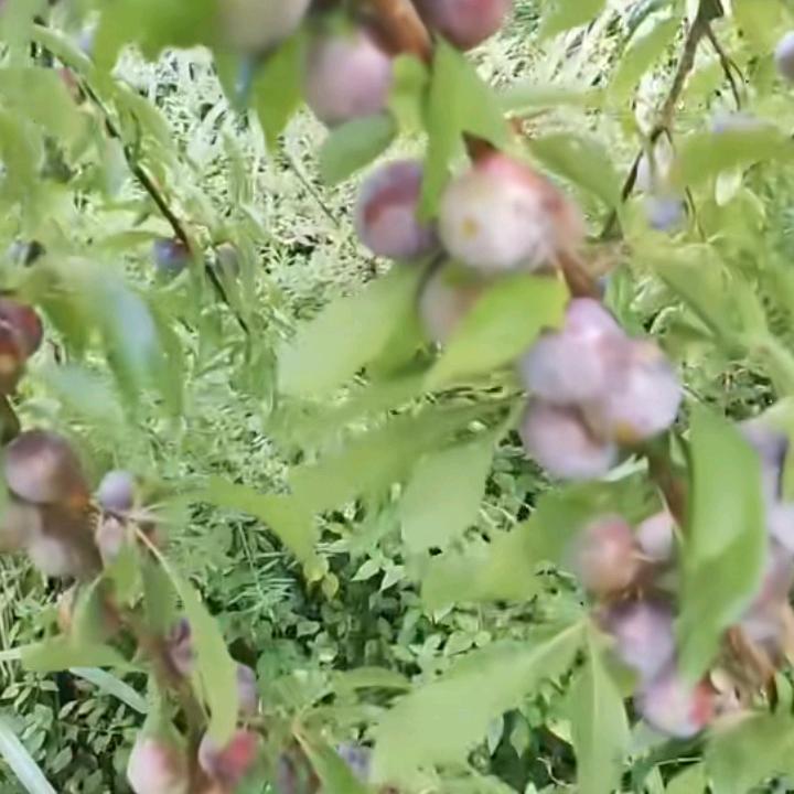 熟悉到陌生