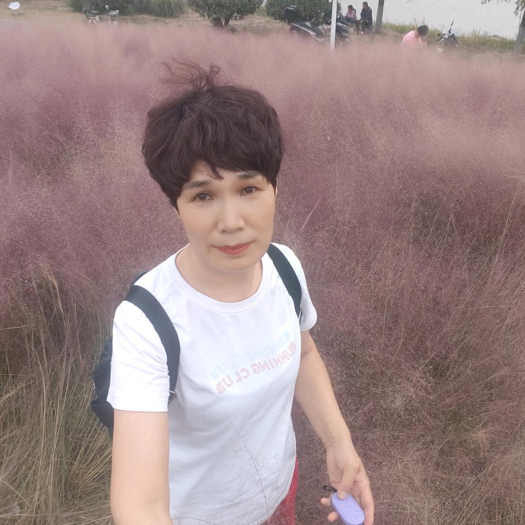 静心净语
