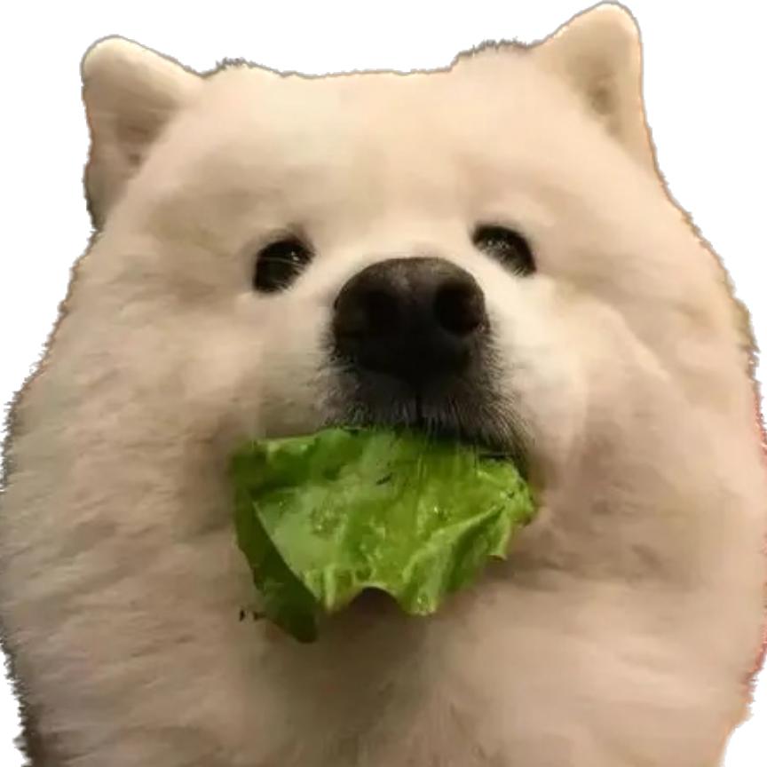 型不行啊ll
