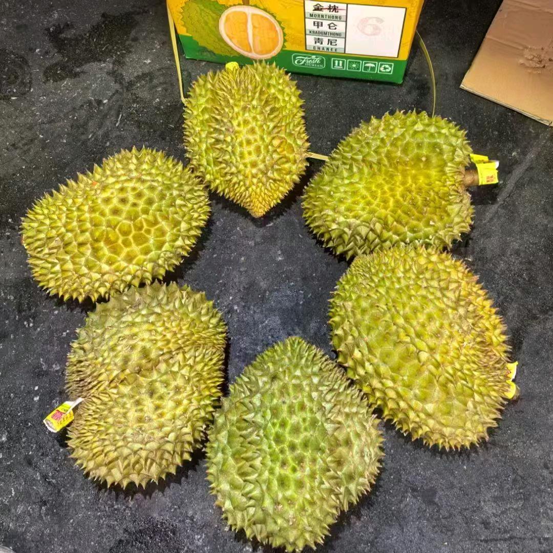 小木易