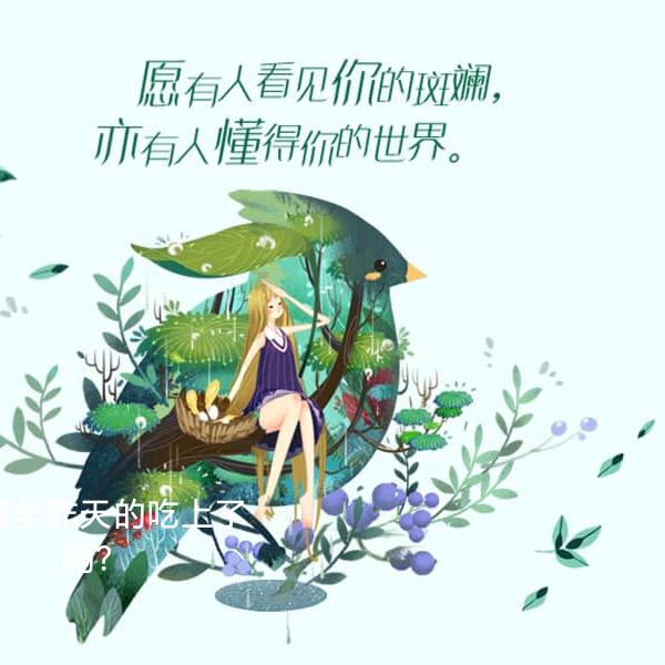 🇲🇴🇲🇴辉煌哥🇲🇴🇲🇴