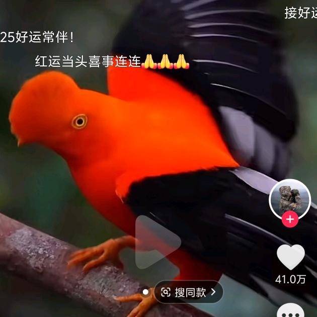 暖冬