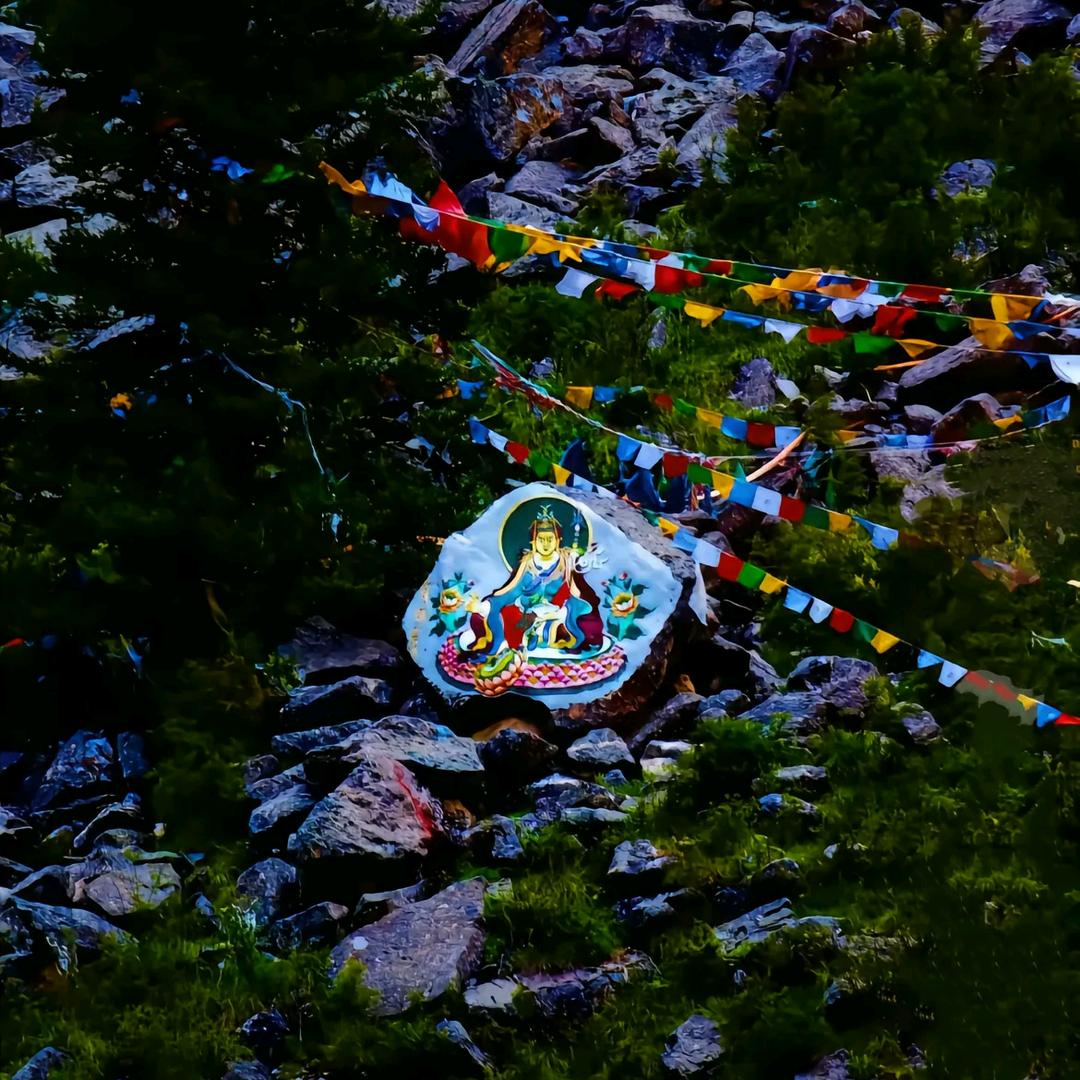 白姆