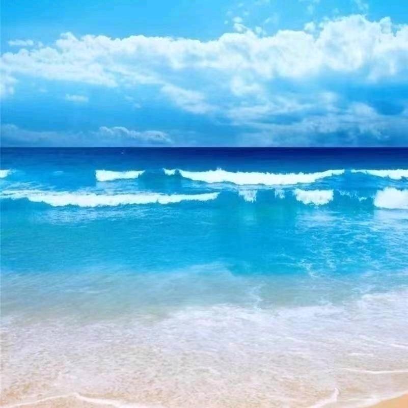孙 海 宁