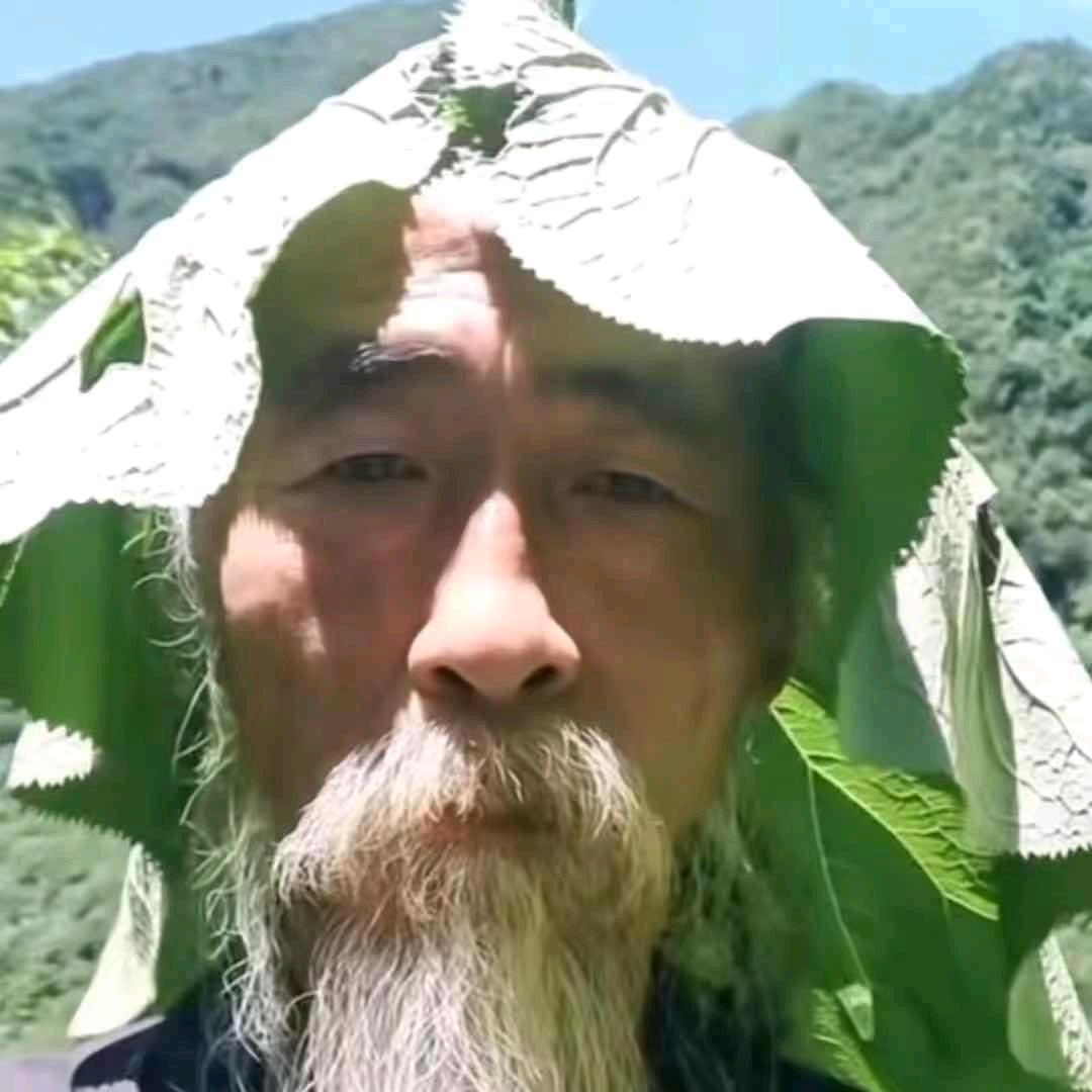 鸩