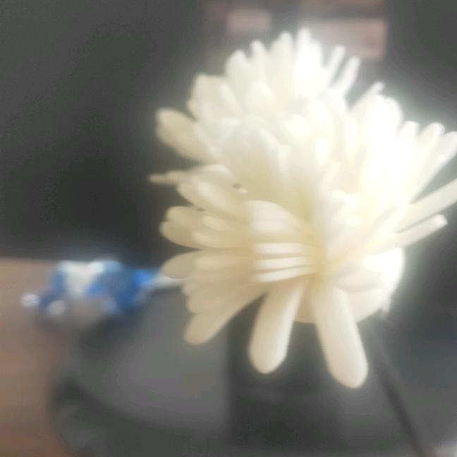 小七七